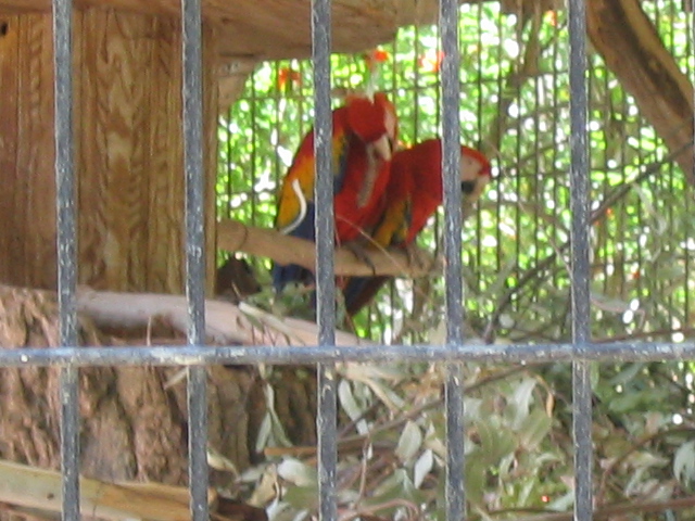 618x457 pixels (194K)